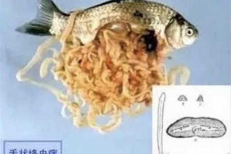 洗鱼的水能直接浇花吗