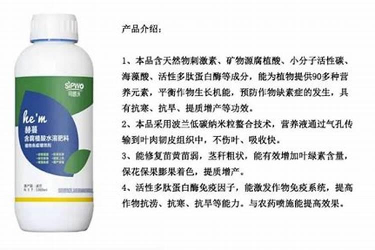 番茄苗根部发黑,烂心是什么病!用什么药能治