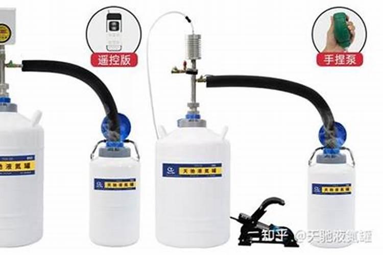 盆栽迎春花怎么养 有哪些注意事项