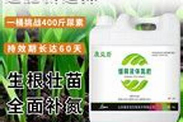 兆新股份是做什么的