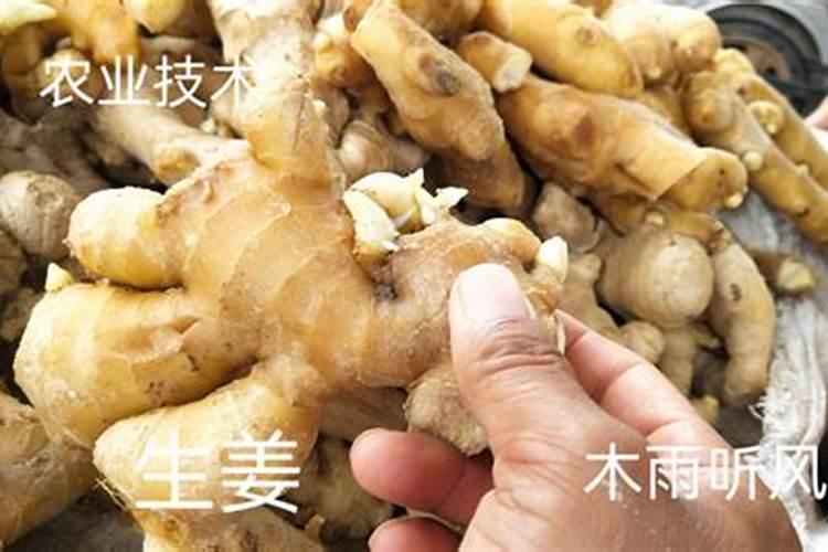 苹果套袋时,用什么化肥可以增亮？该注意些什么？