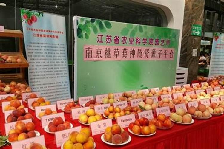 果树上什么肥料最好 果树专用肥有哪几种