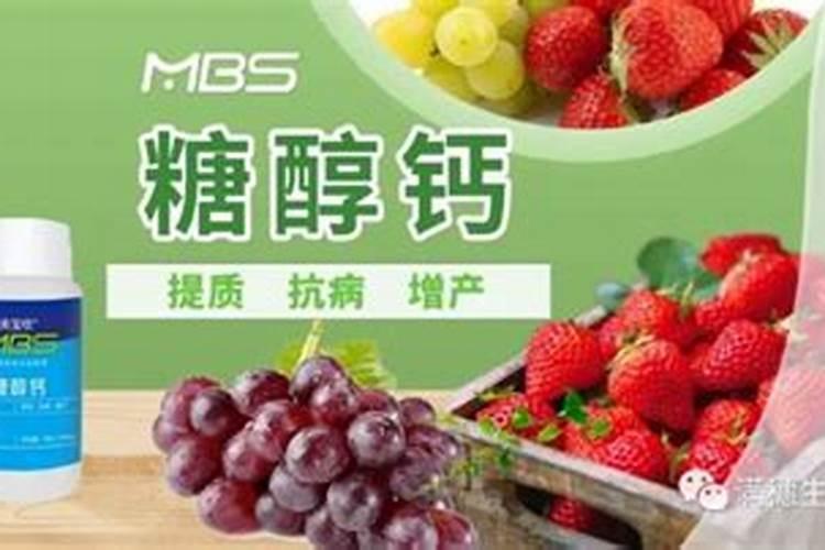 哪种叶面用的钙肥吸收好