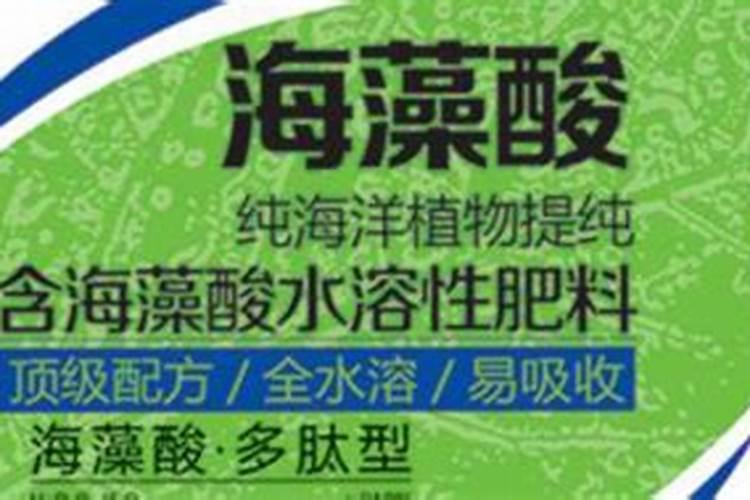 盆栽施肥怎么选择？控释肥、缓释肥、复合肥有何不同？