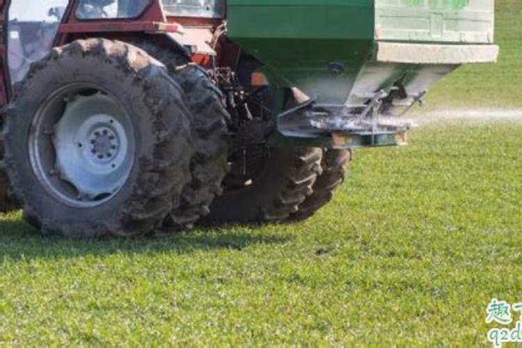 2026年阳历1月适合结婚的日子