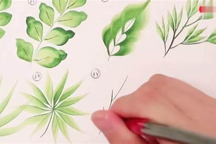 葡萄上色期使用的三种钾肥叶面肥