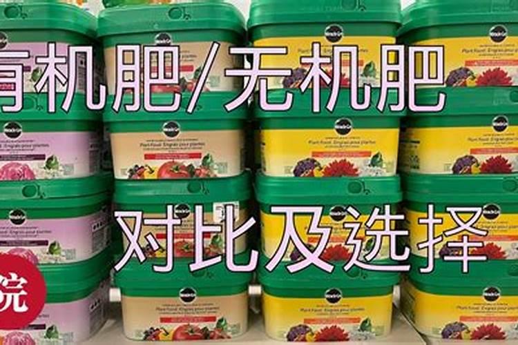 多肉多久服盆,一般多长时间服盆