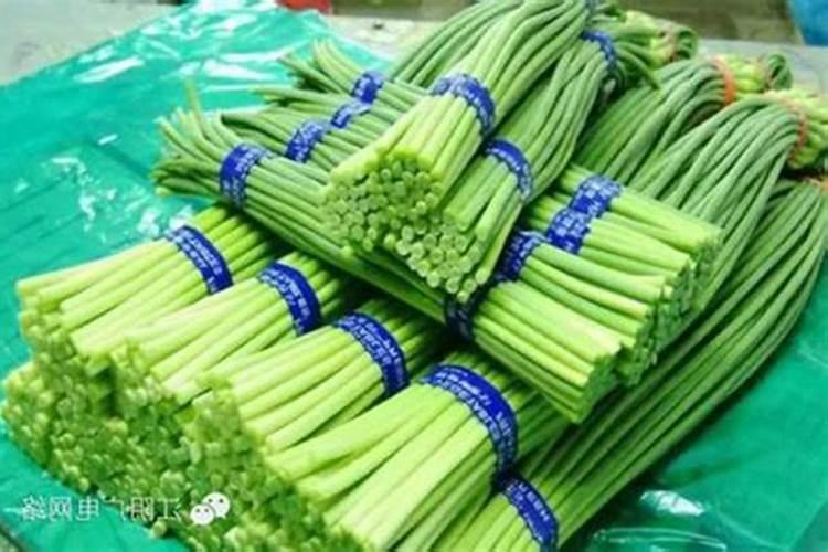 种植大蒜用什么肥料比较好？应该如何施肥？