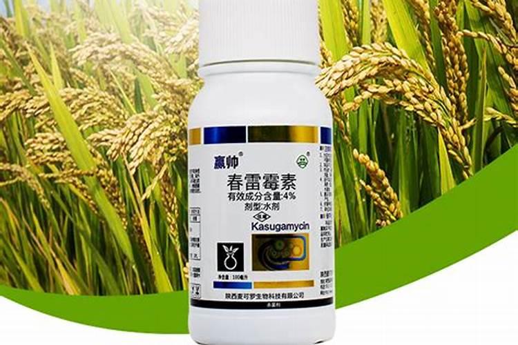 春雷霉素能防治哪些病