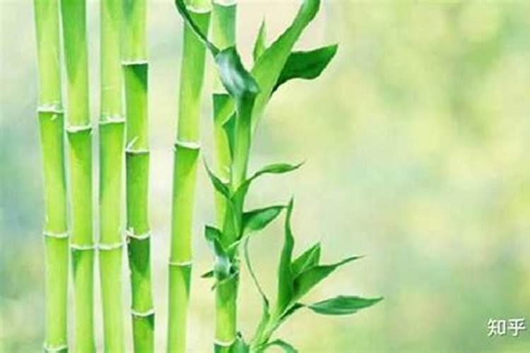 很多人都会给大豆施用硼肥,硼肥都有哪些作用呢？