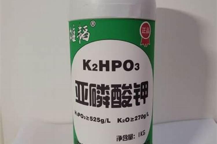 秋季大樱桃树盛果期施肥的方法