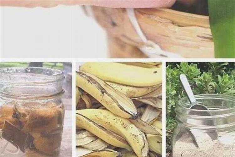 烂香蕉可以做肥料吗