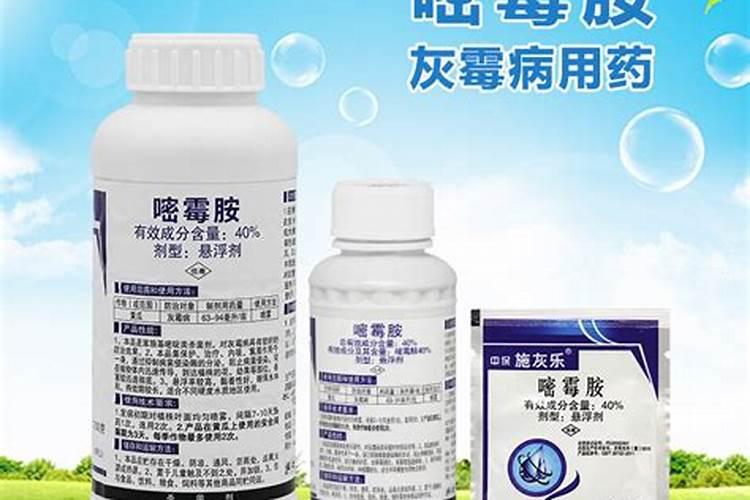 西红柿灰霉病早疫病用什么药比较好