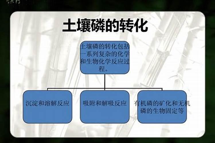 土地里的有效磷怎样使作物吸收