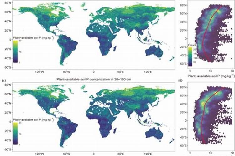 什么是磷肥 磷肥的作用