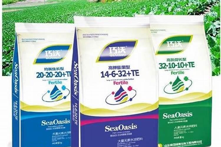 福建哪些旅游景点