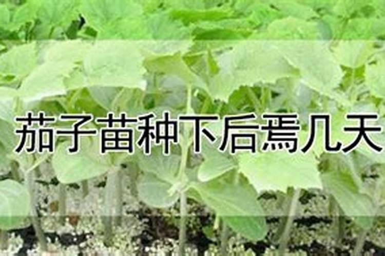 1g注射用美洛西林钠皮试液如何配制？