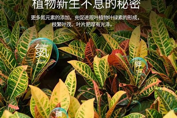 磷肥有几种哪种最好