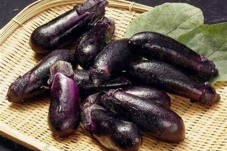 种茄子用什么肥料比较好？
