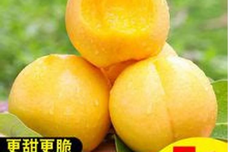 桃树施什么肥料桃子甜 如何施肥效果好