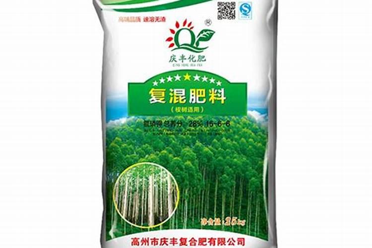 如何从29号桉树的优缺点中获益？