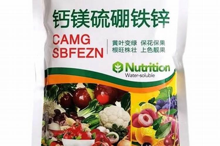 常见的中微量元素肥料有哪些