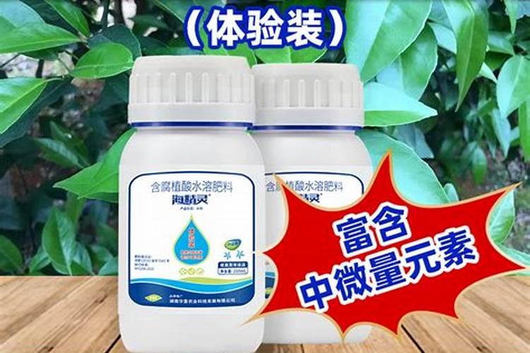 种辣椒用什么肥料好