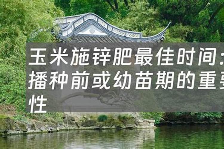 氮肥膨果还是钾肥膨果