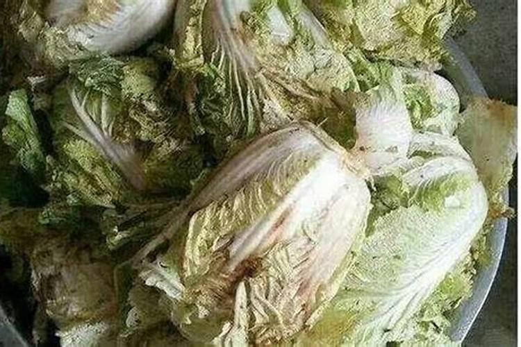 哪些植物需要钾肥
