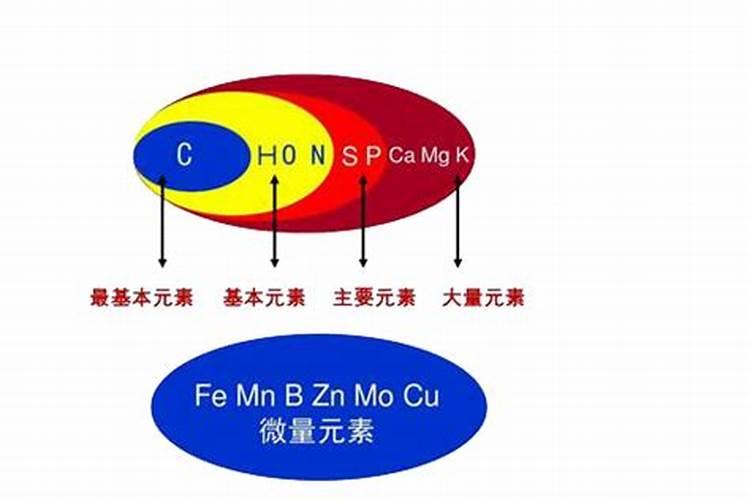 杨树根有什么用途