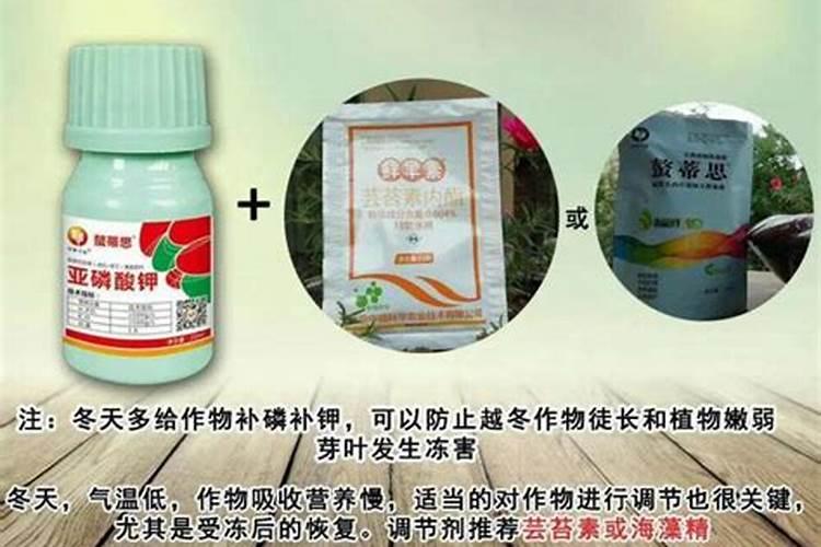 葡萄叶面喷施芸苔素加磷酸二氢钾好还是亚磷酸钾好？