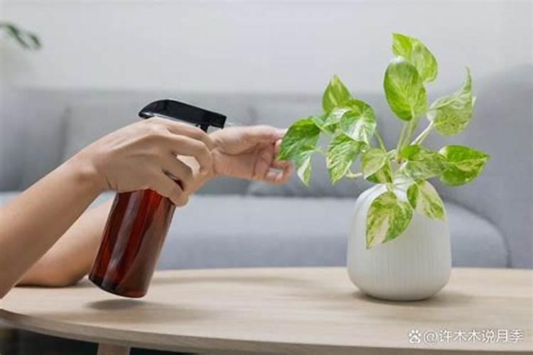 水溶肥浇地的方法
