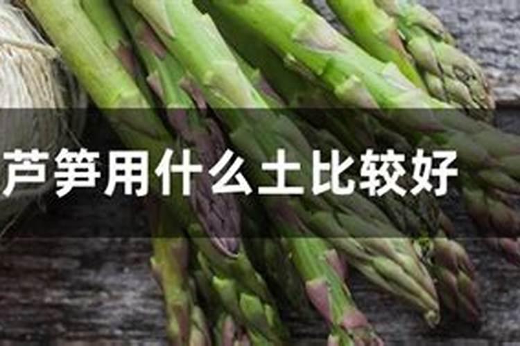 草莓的种植于管理