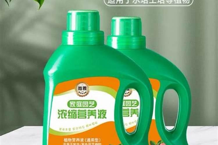 养花买什么肥料最好、绿植用营养液好还是肥料好