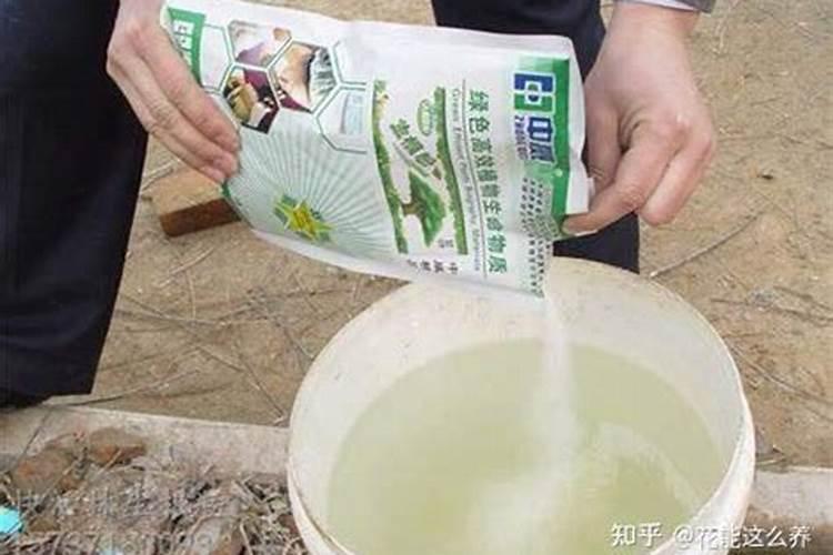 尿素浇花比例尿素浇花怎么样？