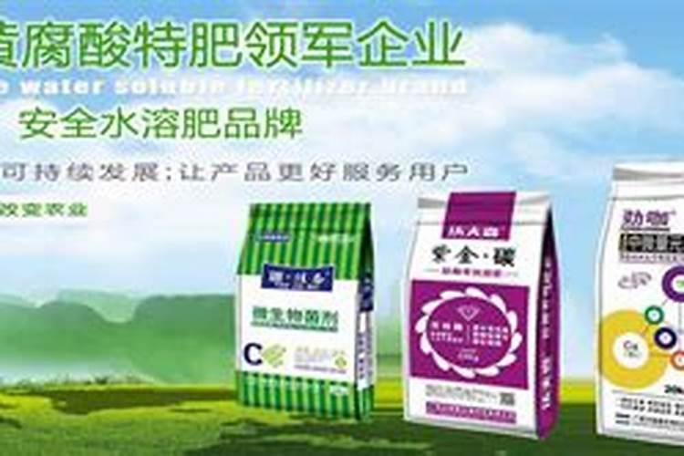 天脊16620硝酸钾水溶肥的批发价格是多少？