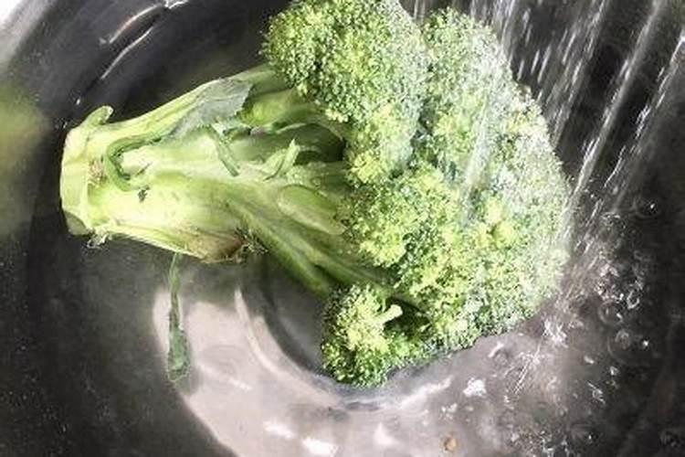 野生紫皮石斛的功效与作用