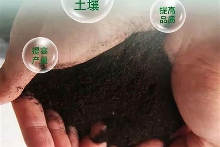 水溶肥是什么肥料 水溶性肥料的优缺点有哪些
