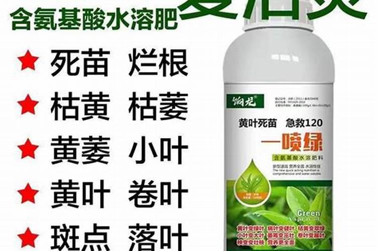 草莓种植为什么要起垄