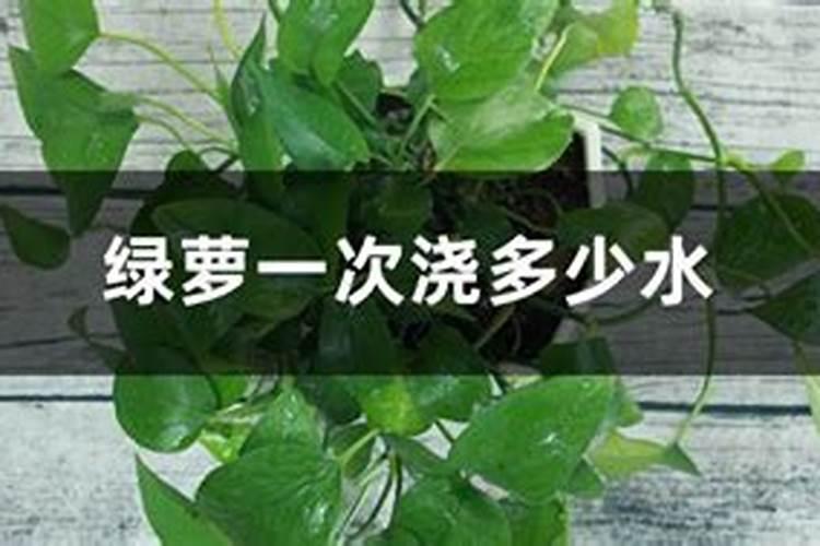 花生拌种剂的常用配方