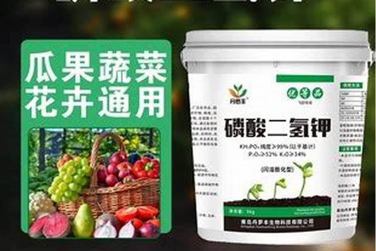 氟磺胺草醚是什么药剂？应该如何使用？