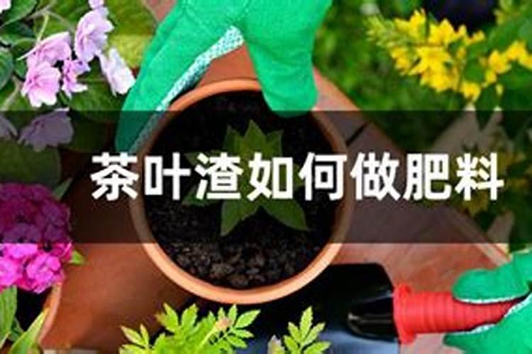 硫酸钾和氮磷钾复合肥有什么区别