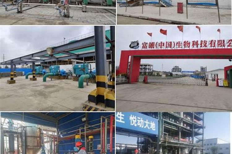 亲土1号水溶肥怎么样