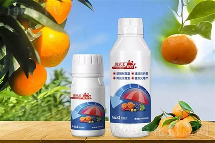 黄瓜追肥用什么肥料好