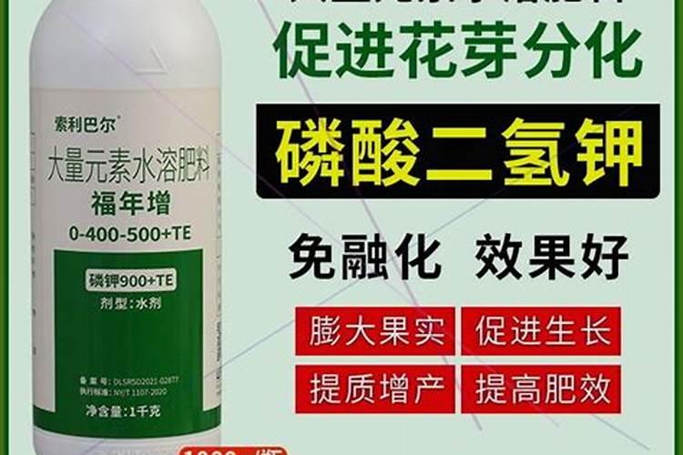 什么是磷肥和钾肥