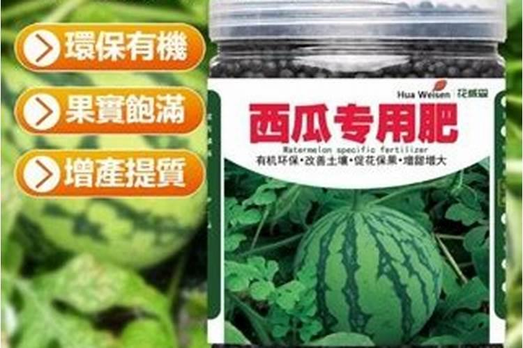 西瓜伸蔓期都接瓜了需要追什么肥