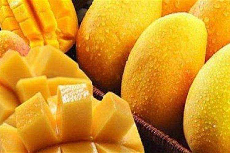种芒果施什么肥