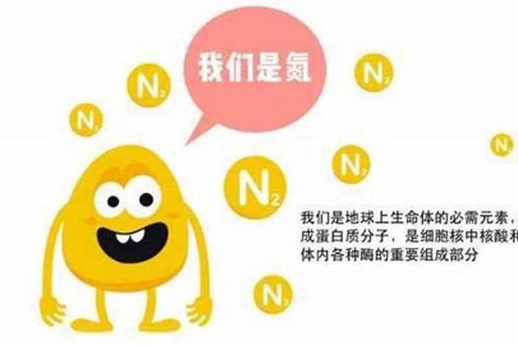 花卉中量元素是哪些