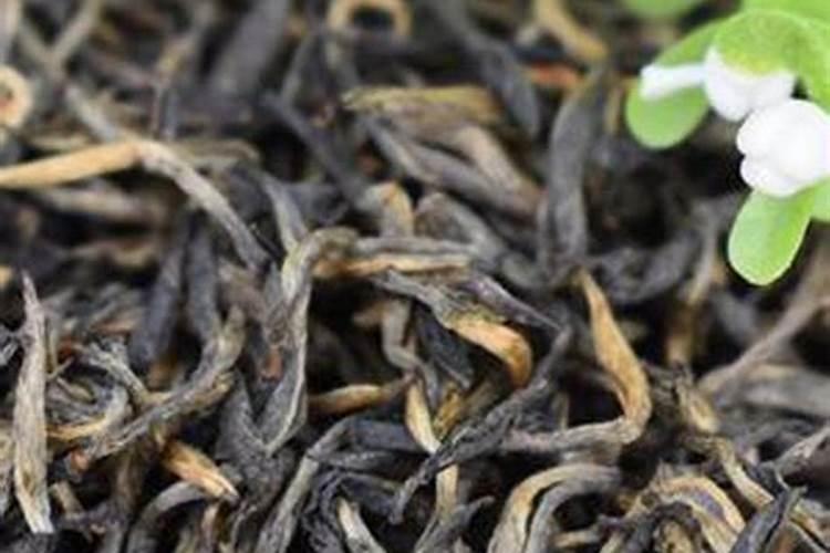 合子肥对茶树效果怎么样？