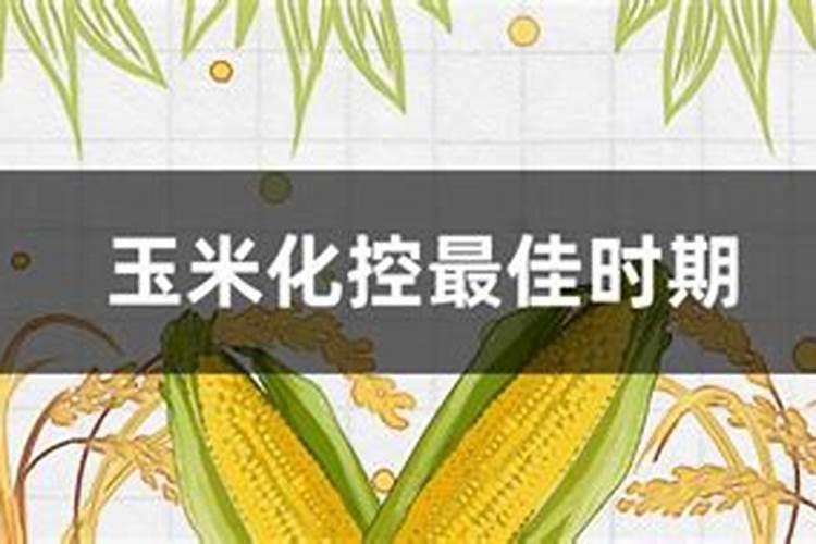 玉米苗期如何用尿素和磷酸二氢钾喷施用量